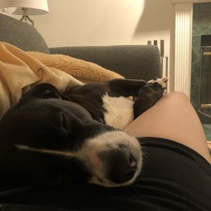 Meet your Posher, Emily